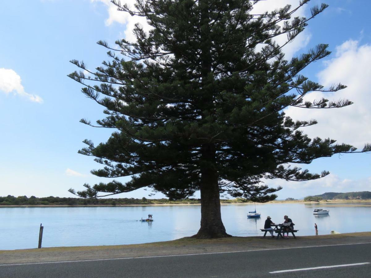 ホテル Pohutukawa Bach ファンガレー エクステリア 写真