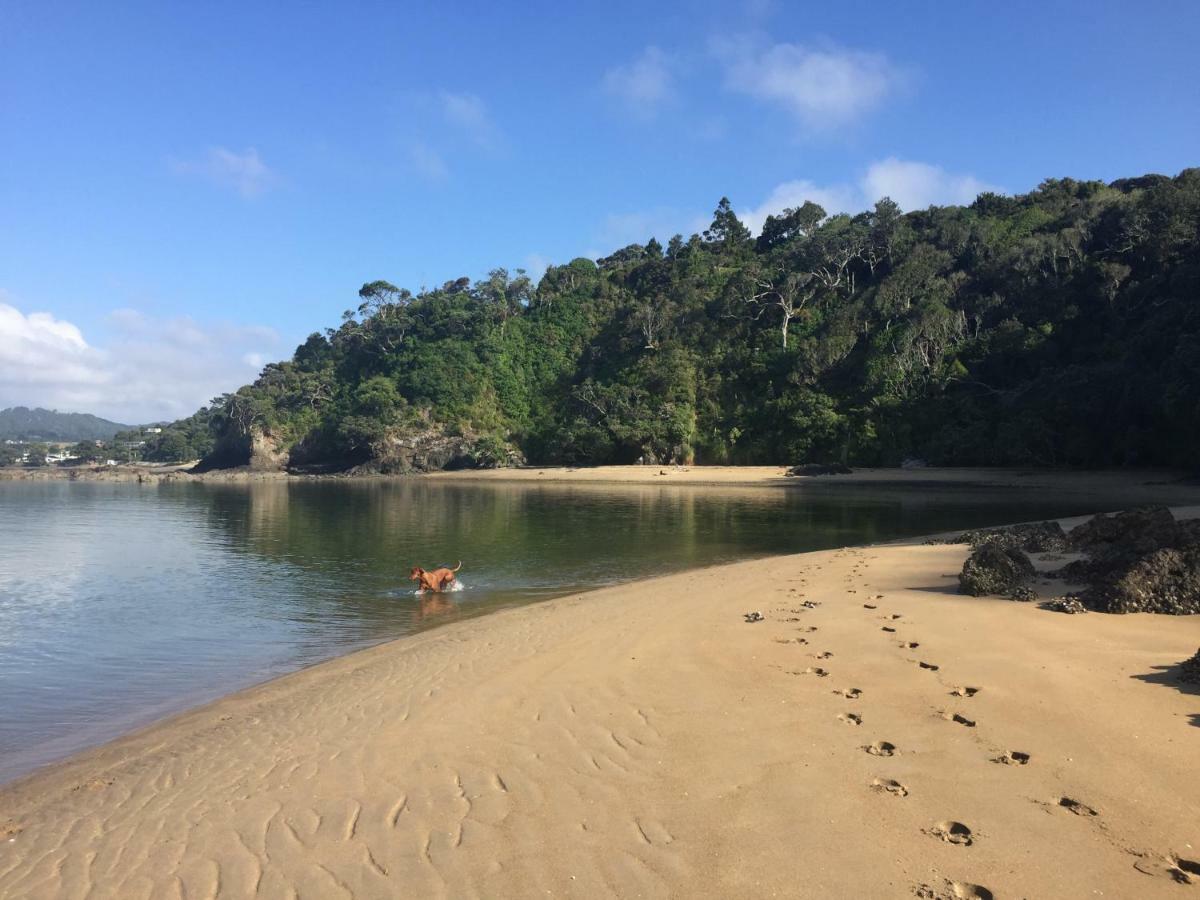ホテル Pohutukawa Bach ファンガレー エクステリア 写真